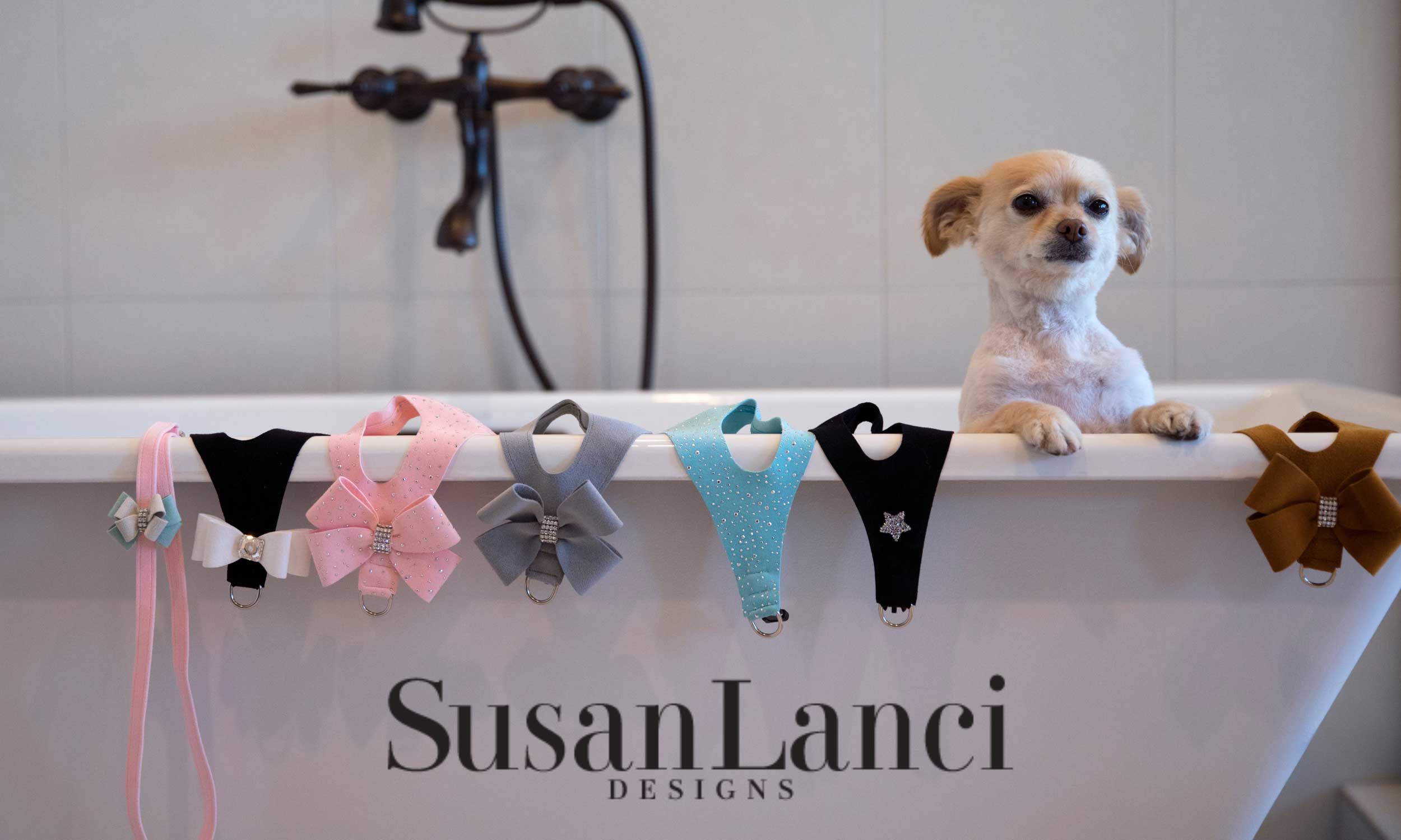 Winner small image - Susan Lanci Designs